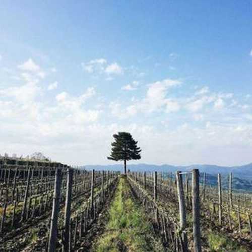 Особенности