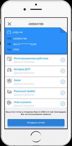 Подробный отчет о транспортном средстве