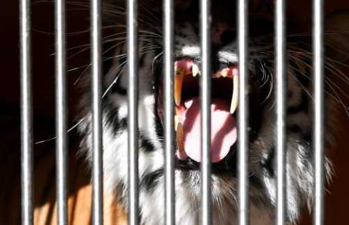 Спектр вопросов