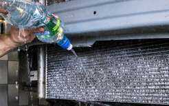 Трубчатые и пластинчатые