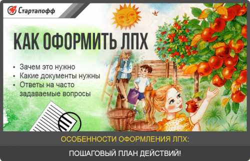 В чем особенности оформления ЛПХ